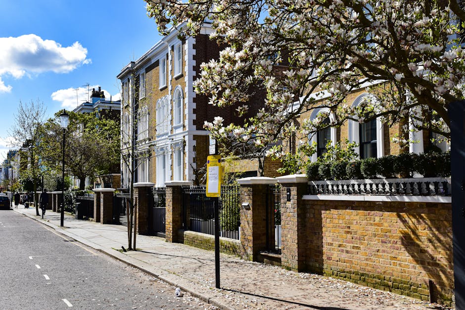 Residential street scene in Holland Park during spring, featuring a row of Victorian-style brick townhouses with white decorative moldings and large bay windows. Snow-white blossoms cover the branches of cherry trees lining the sidewalk, casting shadows on a high brick wall with black wrought iron gates and fencing. The street is paved with asphalt, with a curb and a narrow sidewalk, illuminated by classic lamp posts. The area appears clean and well-maintained, with fresh sunlight highlighting the vibrant flowers and tidy facades. Holland Park Carpet Cleaning's logo is not visible in the image. This setting emphasizes the importance of surface cleaning and maintenance to preserve the aesthetic appeal of such homes, aligning with deep cleaning and sanitisation principles for both residential and commercial properties.