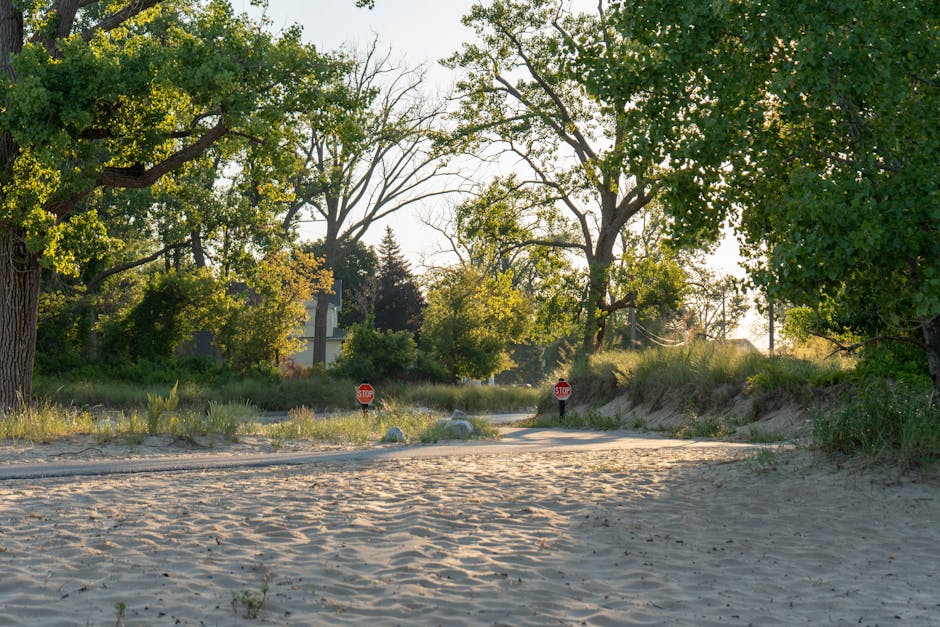 An outdoor scene featuring a sandy pathway bordered by green trees with lush foliage, some with yellow-tinged leaves, under bright sunlight. The pathway is sandy with visible footprints and winding towards a small area with two red stop signs at a crossroad. The surroundings include grassy patches with small bushes and a few large trees casting shadows on the ground. There are no surfaces, furniture, or cleaning tools visible, and the scene appears natural and undisturbed, with the light creating a warm, inviting atmosphere. This image showcases outdoor landscaping and natural greenery, not related to residential or commercial cleaning processes.