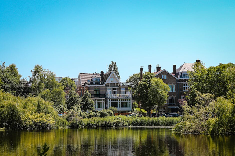 A scenic view of residential houses along a riverbank in Holland Park, with lush green trees and shrubs lining the water's edge. The properties are multi-story with pitched roofs, large windows, and balconies, some featuring decorative gables and brick facades. The area appears well-maintained under bright sunlight with a clear blue sky, and the calm river reflects the greenery and buildings, indicating a peaceful, upscale neighborhood. This setting highlights the importance of regular surface cleaning and maintenance to preserve the property's aesthetic appeal, as emphasized by Holland Park Carpet Cleaning in their guidance on avoiding common stain removal mistakes in Holland Park.