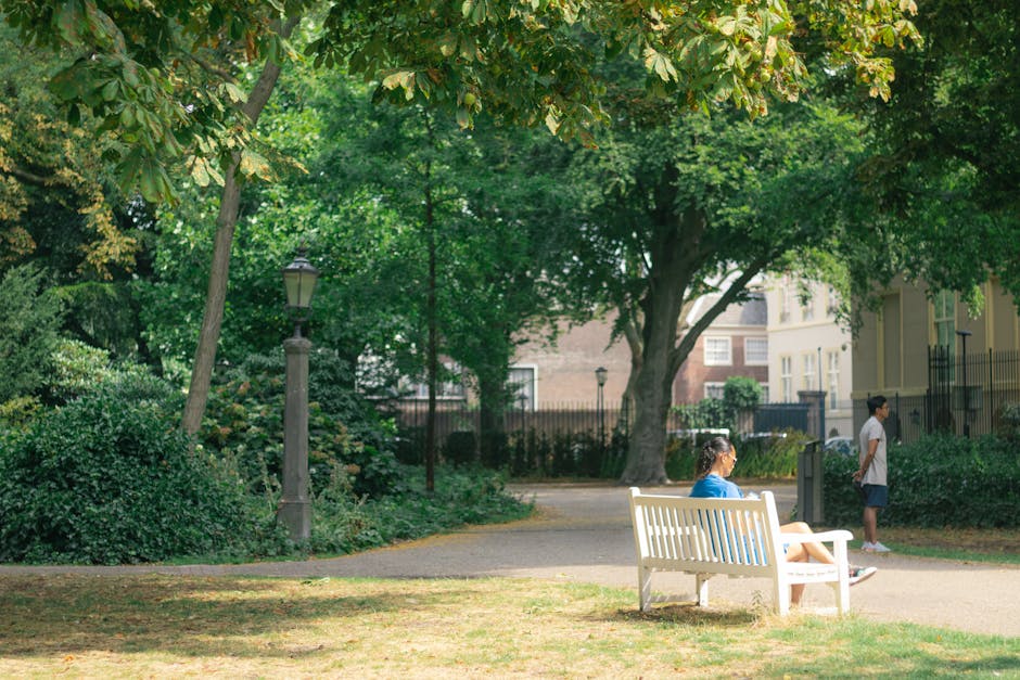 A scenic view of residential houses along a riverbank in Holland Park, with lush green trees and shrubs lining the water's edge. The properties are multi-story with pitched roofs, large windows, and balconies, some featuring decorative gables and brick facades. The area appears well-maintained under bright sunlight with a clear blue sky, and the calm river reflects the greenery and buildings, indicating a peaceful, upscale neighborhood. This setting highlights the importance of regular surface cleaning and maintenance to preserve the property's aesthetic appeal, as emphasized by Holland Park Carpet Cleaning in their guidance on avoiding common stain removal mistakes in Holland Park.