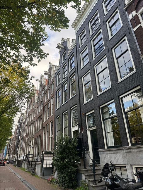An exterior view of a row of tall, narrow residential buildings on a street in Holland Park, featuring large multi-pane windows with white trim set into dark-colored brick facades. The buildings are positioned closely together, with small steps and black metal railings leading to front doors. The sidewalk is lined with green trees, casting shadows on the buildings and pavement. A parked scooter is visible near the curb, and the sky is partly cloudy, providing natural lighting. Holland Park Carpet Cleaning's logo or branding is not visible in the image. This scene highlights the classic architecture and urban environment that benefit from regular surface cleaning and maintenance to preserve their appearance, consistent with deep cleaning and sanitisation practices promoted for Holland Park estates.