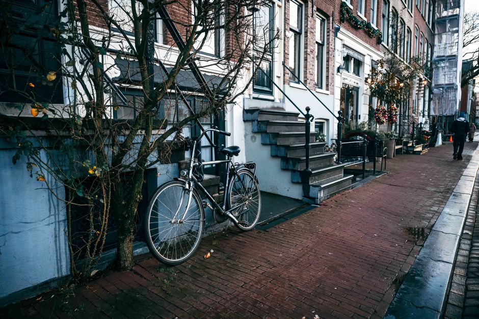 A black bicycle with a metal frame and tyres parked against a small, leafless tree on a damp brick sidewalk in front of a row of residential buildings. The buildings feature a mix of brick and painted facades, with steps leading up to entrances and decorative hanging flower baskets near the doors. The scene is lit with natural daylight, reflecting a calm, urban street atmosphere characteristic of Holland Park estates. Holland Park Carpet Cleaning’s services focus on surface cleaning, deep cleaning, and sanitisation of residential spaces, ensuring homes remain hygienic and well-maintained.