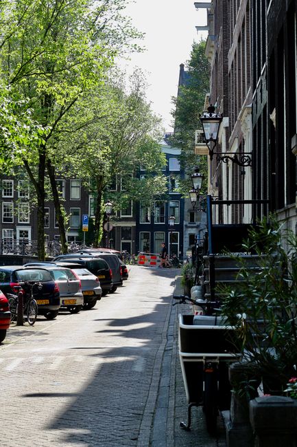 An exterior view of a row of tall, narrow residential buildings on a street in Holland Park, featuring large multi-pane windows with white trim set into dark-colored brick facades. The buildings are positioned closely together, with small steps and black metal railings leading to front doors. The sidewalk is lined with green trees, casting shadows on the buildings and pavement. A parked scooter is visible near the curb, and the sky is partly cloudy, providing natural lighting. Holland Park Carpet Cleaning's logo or branding is not visible in the image. This scene highlights the classic architecture and urban environment that benefit from regular surface cleaning and maintenance to preserve their appearance, consistent with deep cleaning and sanitisation practices promoted for Holland Park estates.